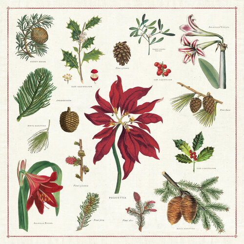 vintage-christmas-poinsettia-cloth-napkins-museum-outlets.jpeg