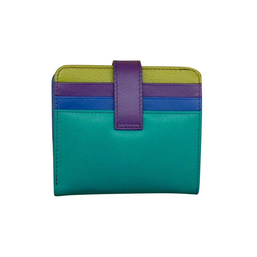 multicolor-blues-leather-small-wallet-ili-museum-outlets.jpeg