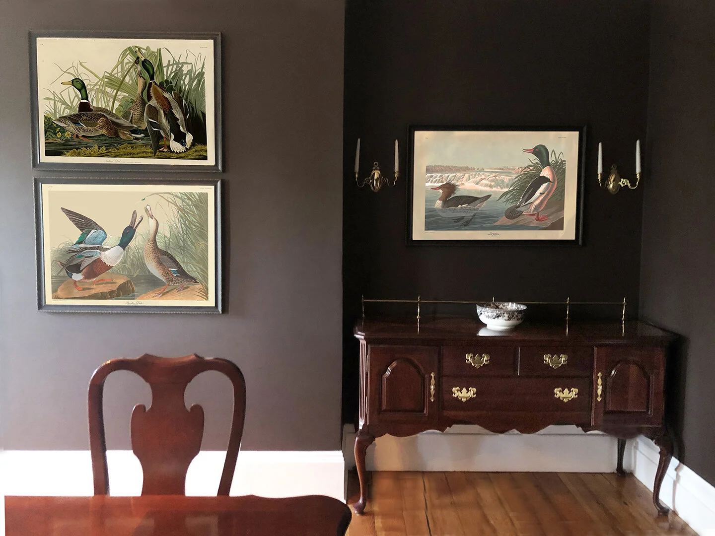 Audubon Framed Prints Wall Art