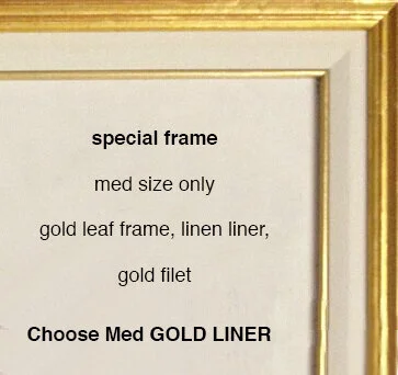 special audubon gold.jpg