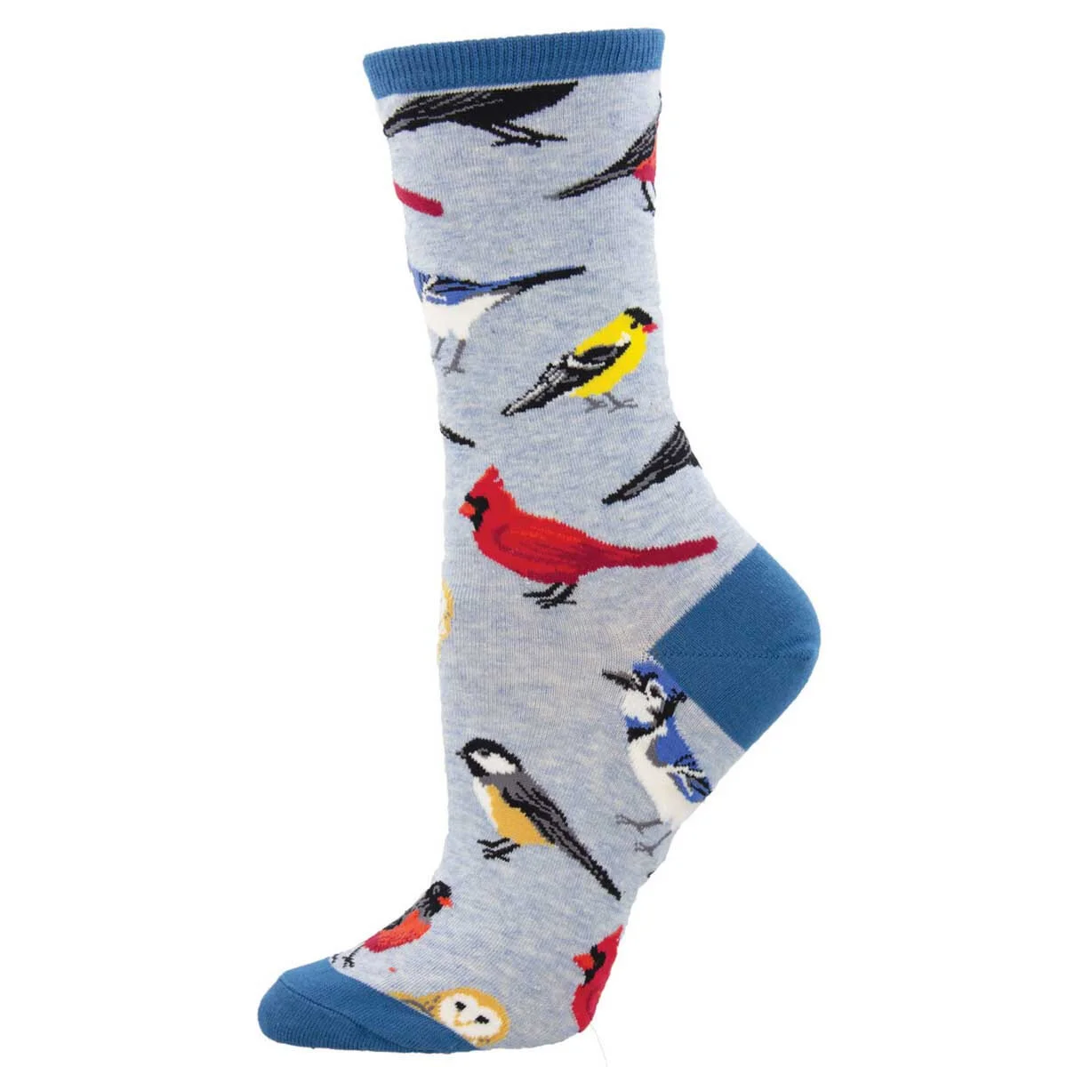 bird-cardinal-womens-socks-museum-outlets.jpeg