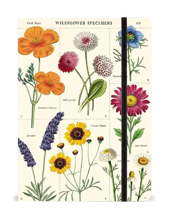 vintage-wildflowers-notebook-cavallini-museum-outlets.jpeg