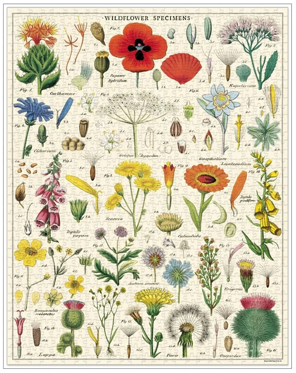 cavallini-wildflowers-vintage-puzzles-museum-outlets.jpg