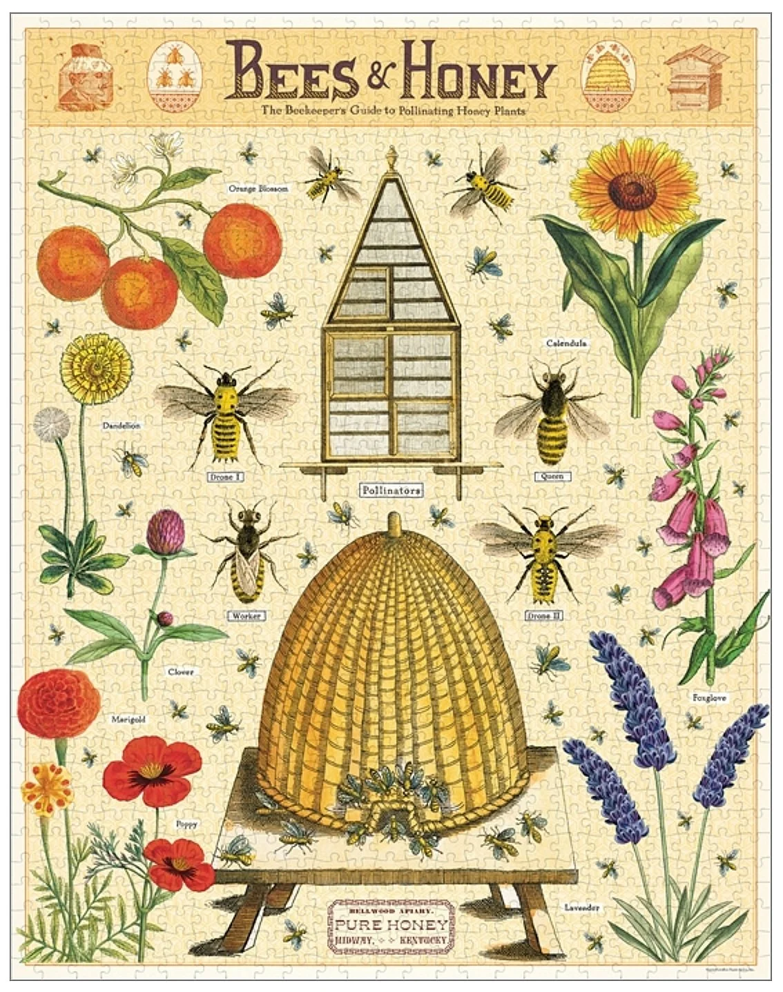 bee-honey-puzzles-cavallini-museum-outlets.jpg