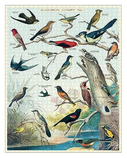 audubon-birds-vintage-puzzle-cavallini-museum-outlets.jpg