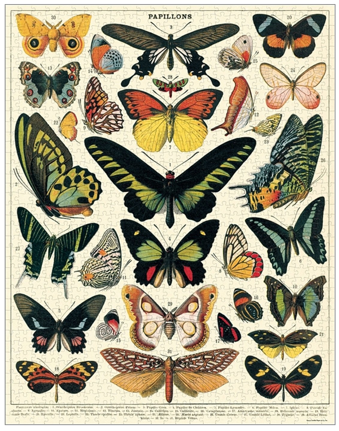 vintage-butterfly-puzzle-museum-outlets.jpg