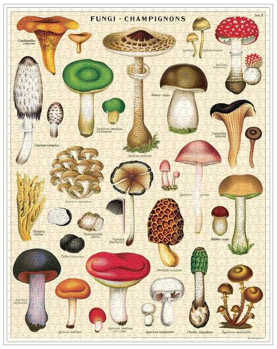 mushroom-vintage-puzzles-cavallini-museum-outlets.png