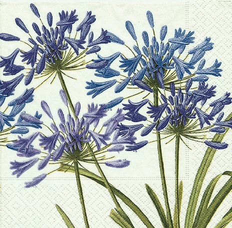 purple-floral-decorative-napkins-caspari-museum-outlets.png