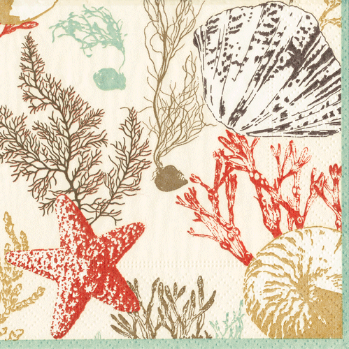 marine-shells-decorative-napkins-museum-outlets.png