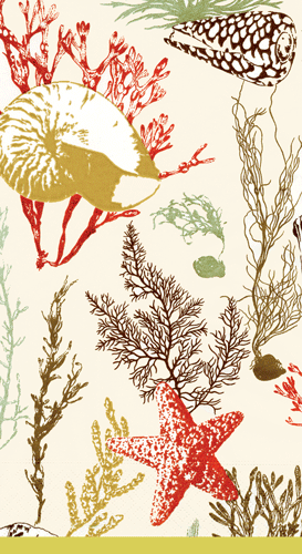 marine-shells-coral-decorative-guest-towels-museum-outlets.png