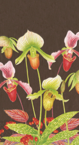 slipper-orchid-decorative-paper-guest-towels-museum-outlets.png