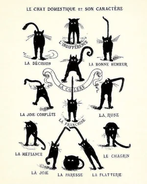 Affiche Vintage Chat : "Tout Ce Que Je Veux Pour Noël, C'est Des Chats Et Des Livres" - Déco Murale Bohème 30x20 Cm - Résistante à L'eau