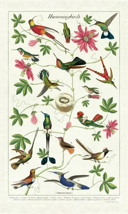 hummingbird-tea-towel-cavallini-museum-outlets.jpeg