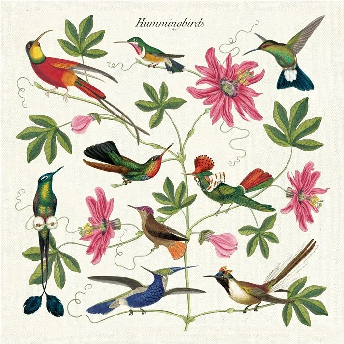 hummingbirds-cotton-dinner-napkins-cavallini-museum-outlets.jpeg