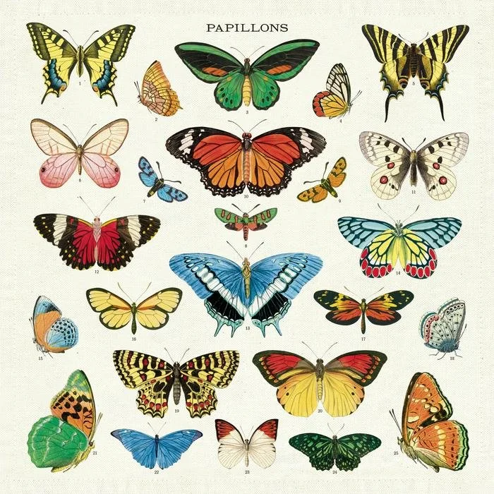 vintage-butterflies-cotton-napkins-cavallini-museum-outlets.jpeg