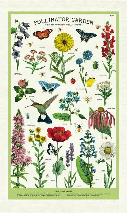 pollinator-garden-tea-towel-cotton-kitchen-towel-cavallini-museum-outlets.jpeg