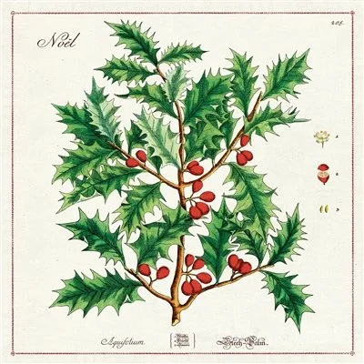holly-vintage-cloth-table-napkins-holiday-decorative-museum-outlets.jpeg