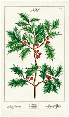 vintage-cavallini-holiday-holly-cloth-tea-towel-holiday-decorative-towels-museum-outlets.jpeg