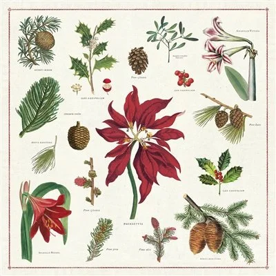 vintage-christmas-botanica-holiday-cloth-decorative-napkins-museum-outlets.jpeg
