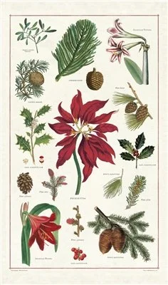 vintage-cavallini-christmas-botanica-holiday-kitchen-tea-towel-museum-outlets.jpeg