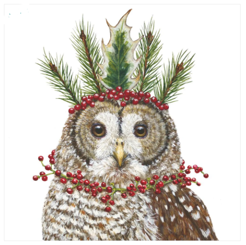https://images.squarespace-cdn.com/content/v1/539dffebe4b080549e5a5df5/1655577006321-PQNQY8GTG6X1T2KFAGBG/owl-christmas-napkins-cocktail-lunch-guest-museum-outlets.png?format=1000w