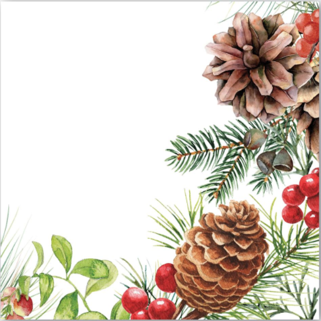 michel-design-works-white-spruce-cocktail-napkins-museum-outlets.png