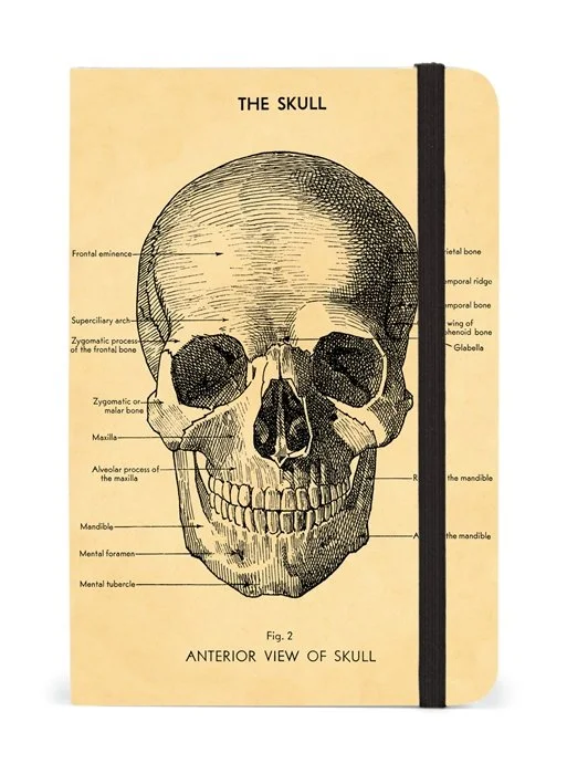 cavallini-skull-notebook-halloween-museum-outlets.jpeg