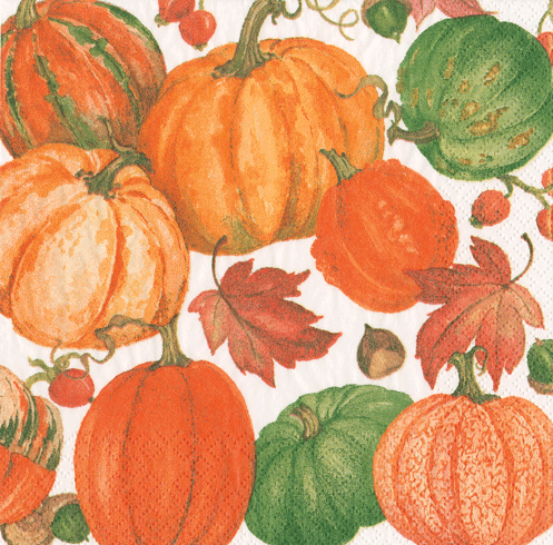 pumpkin-field-decorative-thanksgiving-napkins--museum-outlets.png