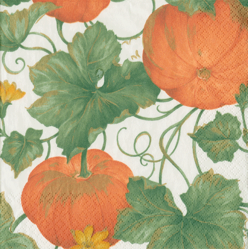 heirloom-pumpkins-decorative-thanksgiving-napkins-museum-outlets.png