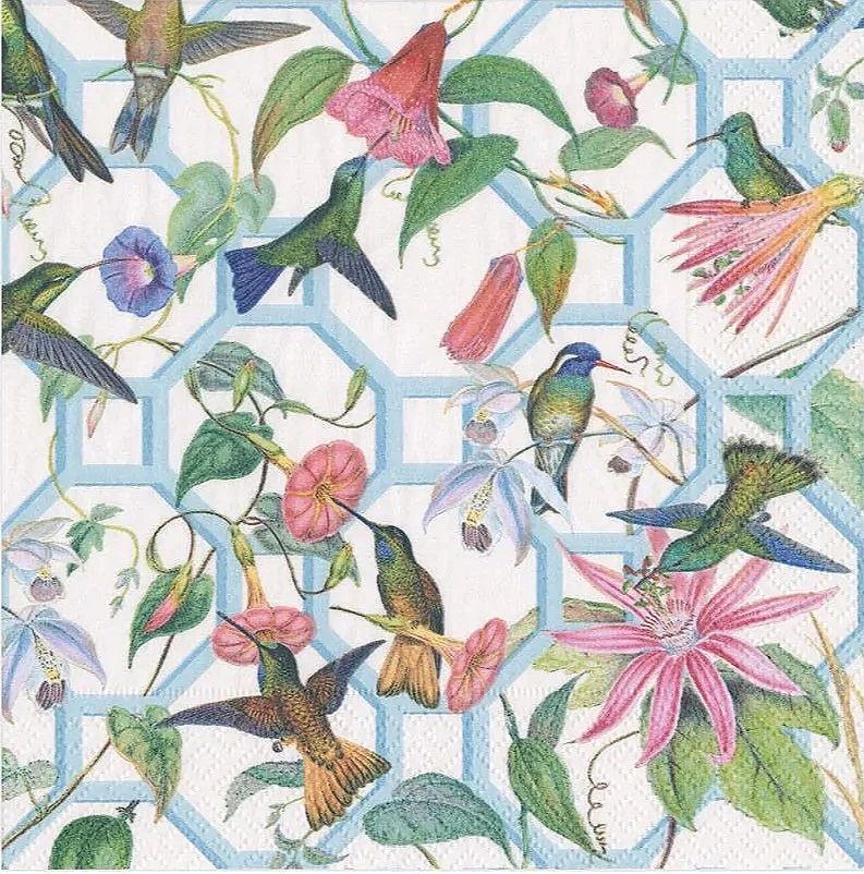 hummingbird-trellis-caspari-decorative-napkins-museum-outlets.jpg