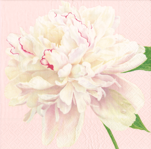 peonies-blush-decorative-napkins-museum-outlets.png