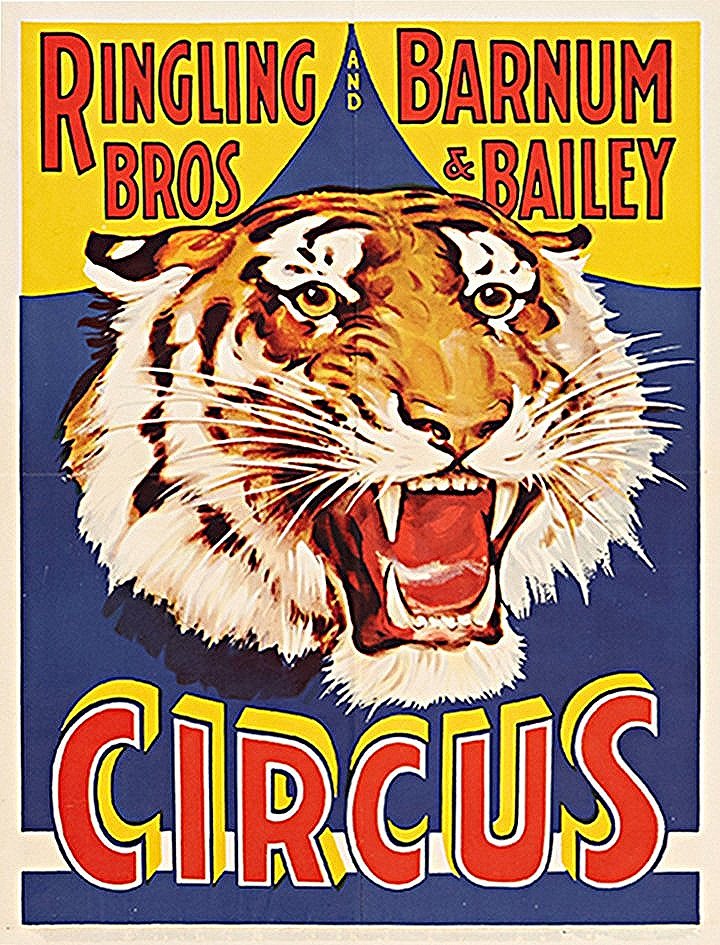 Ringling Barnum Tiger Vintage Circus Poster — MUSEUM OUTLETS