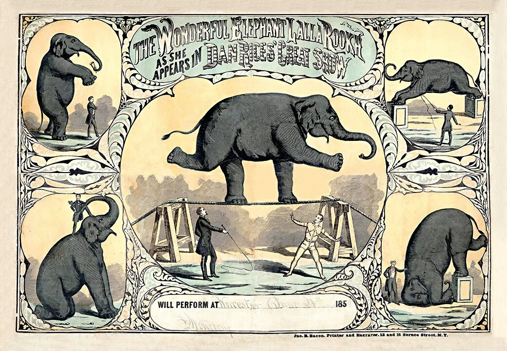The-Wonderful-Elephant-Alla-Rook-vintage-poster-museum-outlets.jpeg