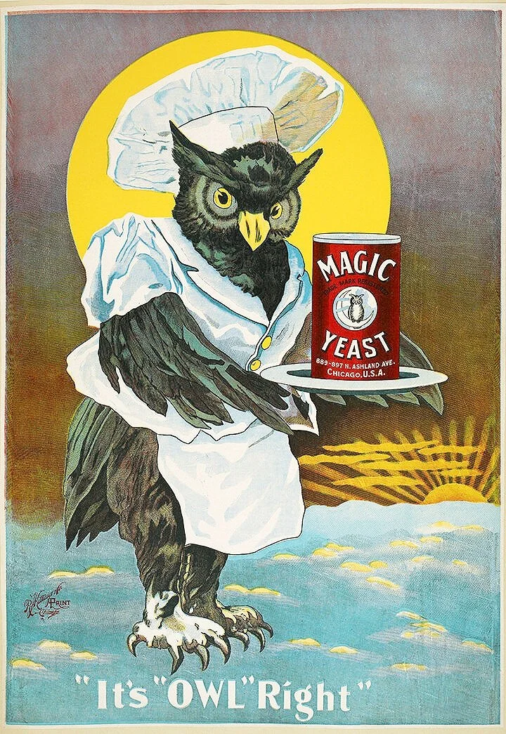Owl-Magic-Yeast-vintage-advertising-print-museum-outlets.jpg