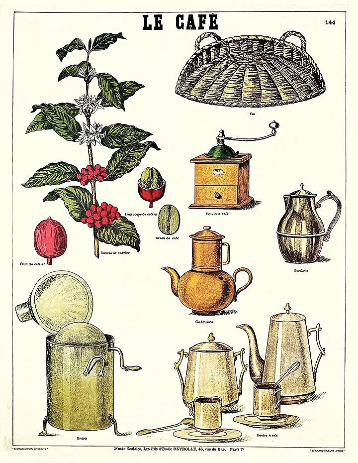 le-cafe-deyrolle-vintage-coffee-poster-museum-outlets.jpg