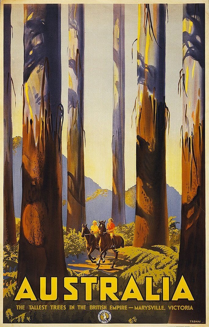 Australia-tallest-trees-vintage-travel-poster-museum-outlets.jpg