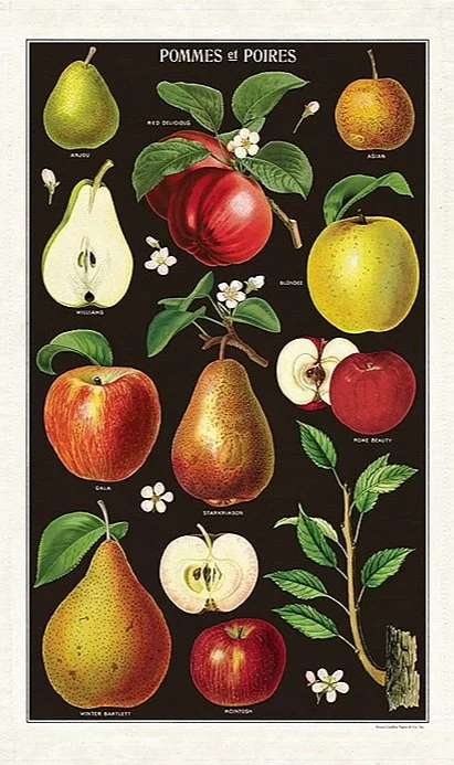 Cavallini Tea Towels Apples and Pears