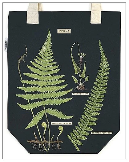 cavallini-canvas-tote-bags-ferns-museum-outlets.jpg
