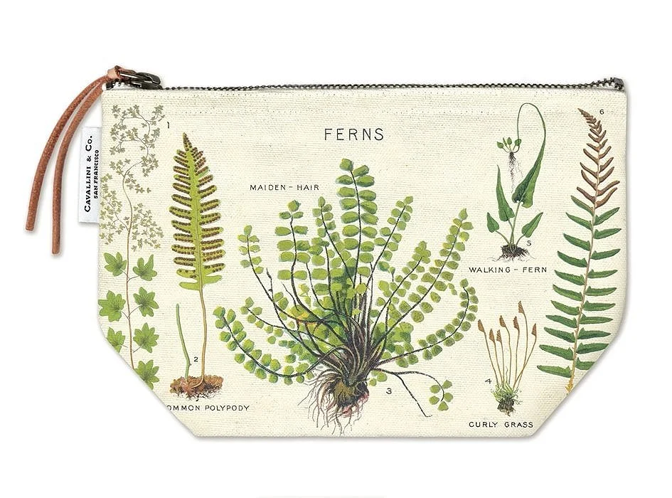 cavallini-canvas-pouch-ferns-museum-outlets.jpg