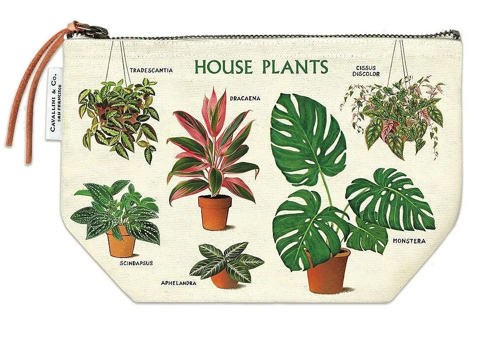 cavallini-canvas-pouch-house-plants-museum-outlets.jpg