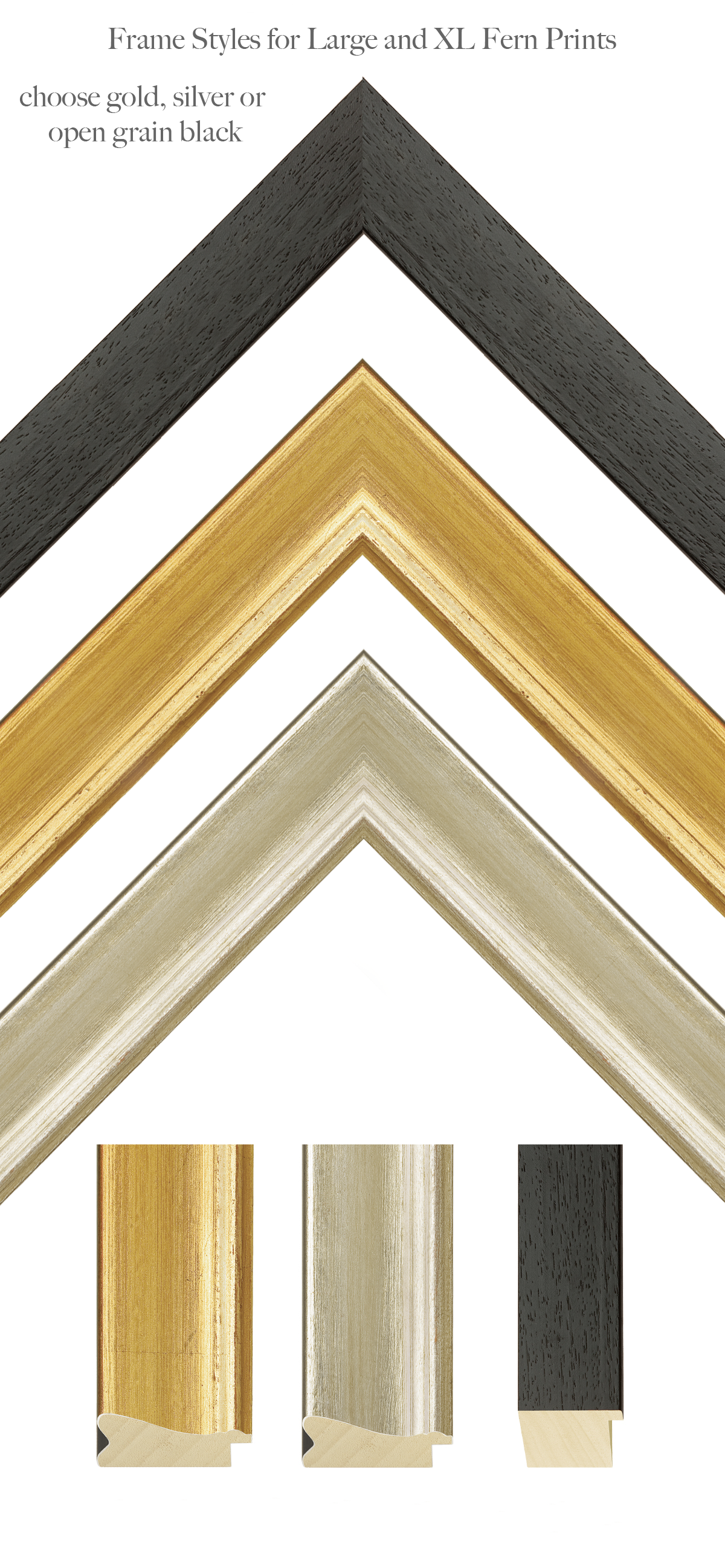 fern-frame.png