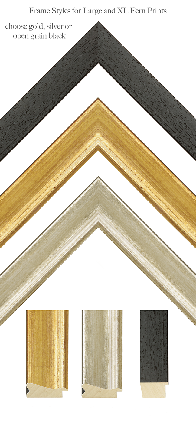fern-frame.png