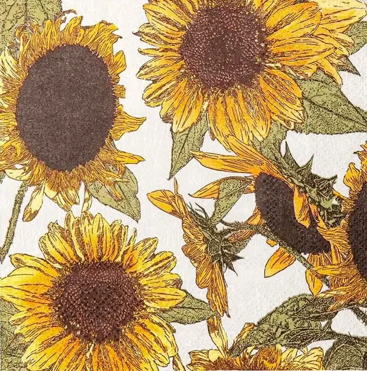 sunflower-decorative-cocktail-napkins-museum-outlets.jpg
