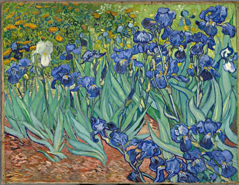 Vincent Van Gogh Irises Fine Art Print