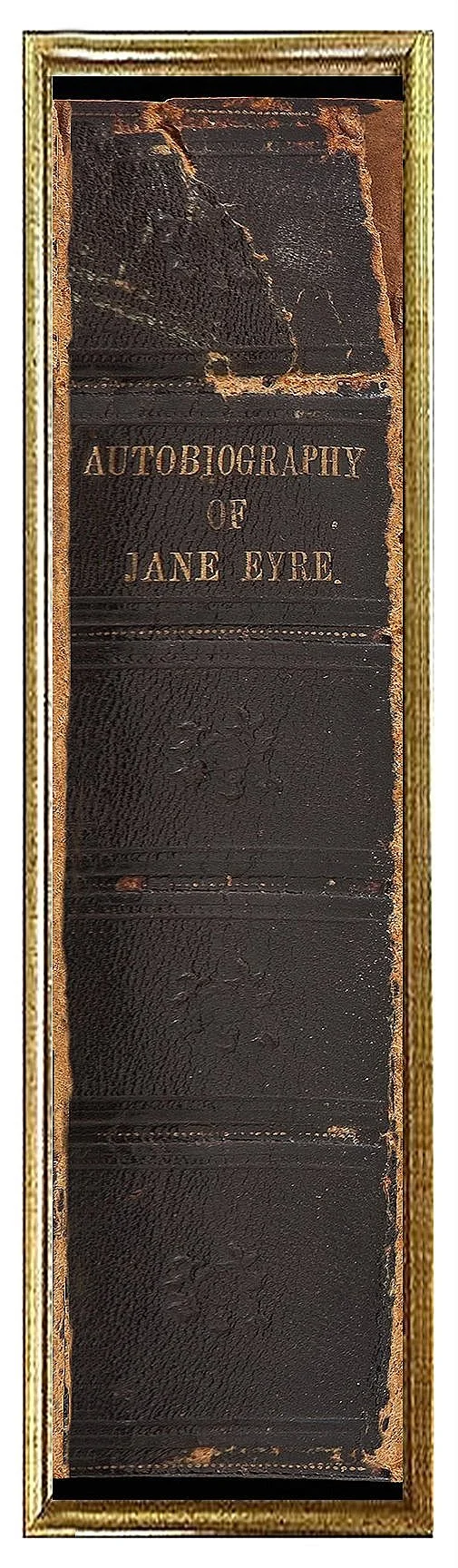 jane-eyre-autobiography-book-spine-wall-art-museum-outlets.jpg