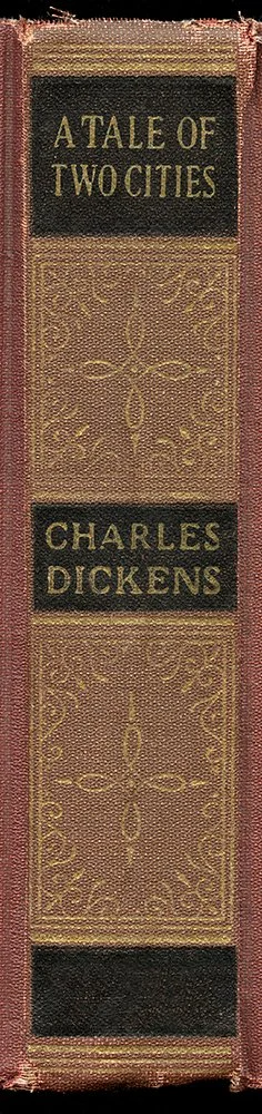 Dickens-A-Tale-of-two-Cities-book-spine-wall-art-museum-outlets.jpeg