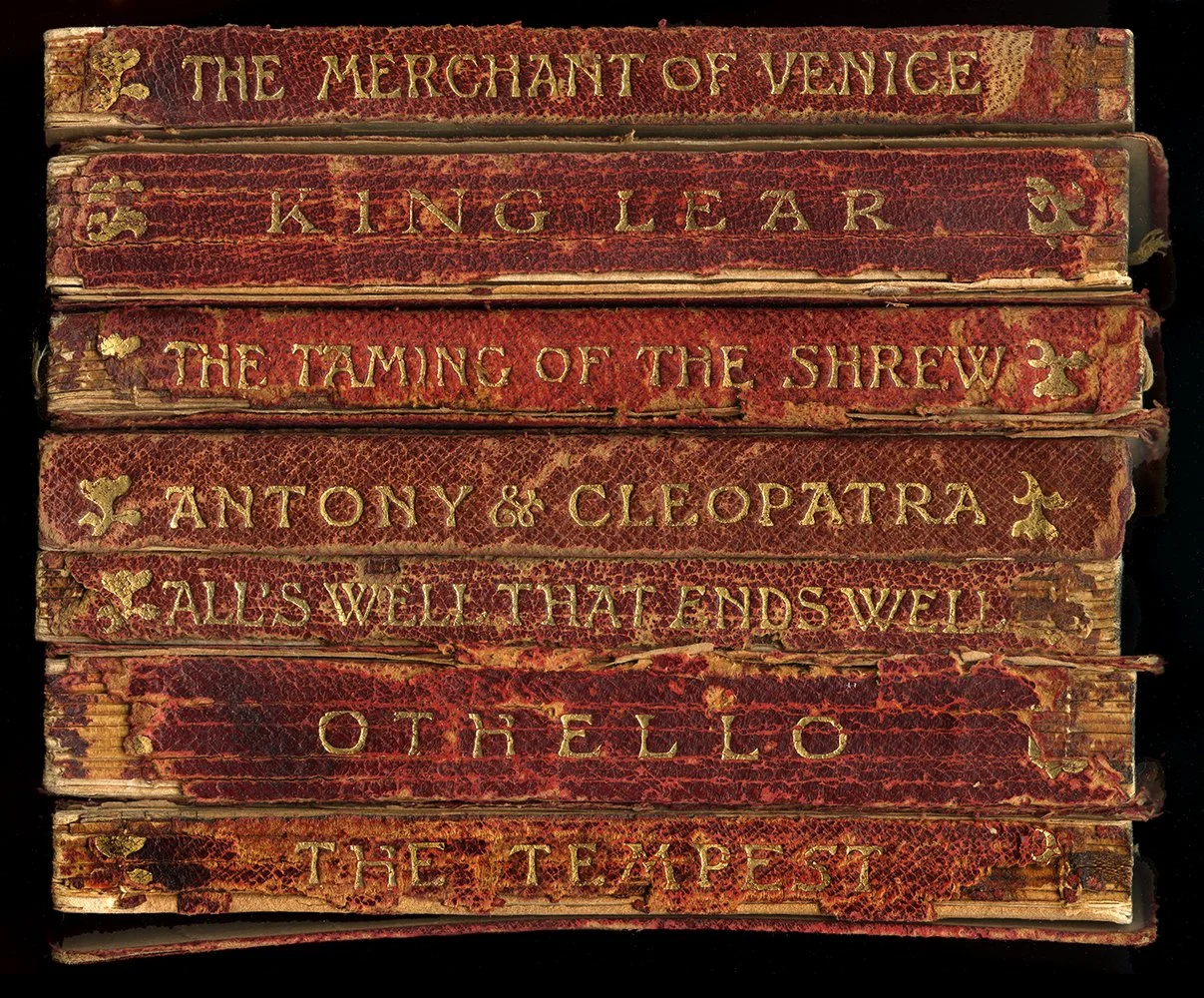 Shakespeare-Bookshelf-book-spine-wall-art-museum-outlets.jpeg