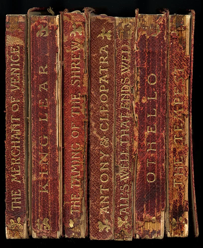 Shakespeare-antique-bookshelf-book-spine-wall-art-museum-outlets.jpeg