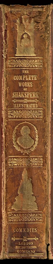 Shakespeare-Comedies-book-Spine-wall-art-museum-outlets.jpeg