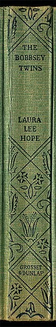 Bobbsey-Twins-book-spine-wall-art-museum-outlets.jpeg
